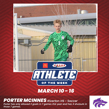 Porter McInnes